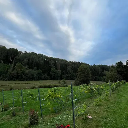 Maeeveski Apartament Võru