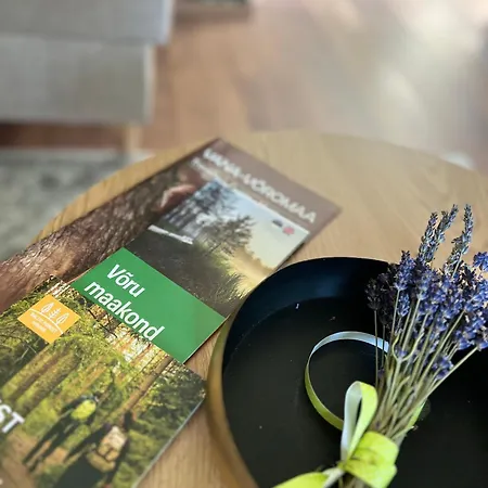 Apartament Maeeveski *