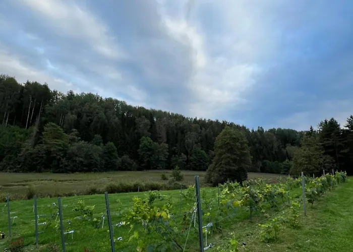 Maeeveski Apartmán Võru