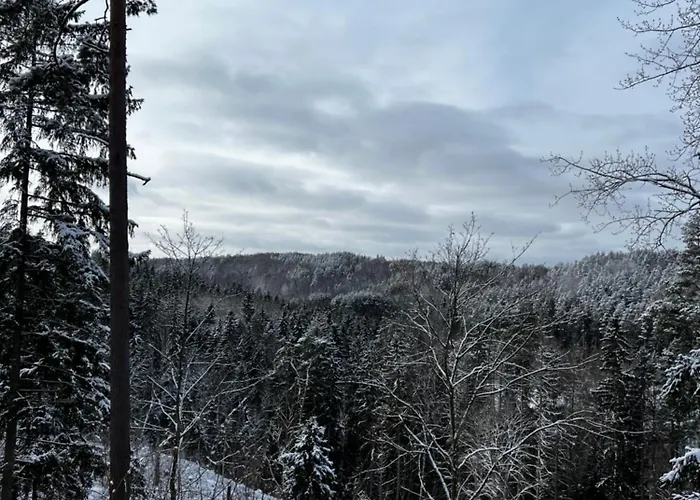 Maeeveski Apartmán *